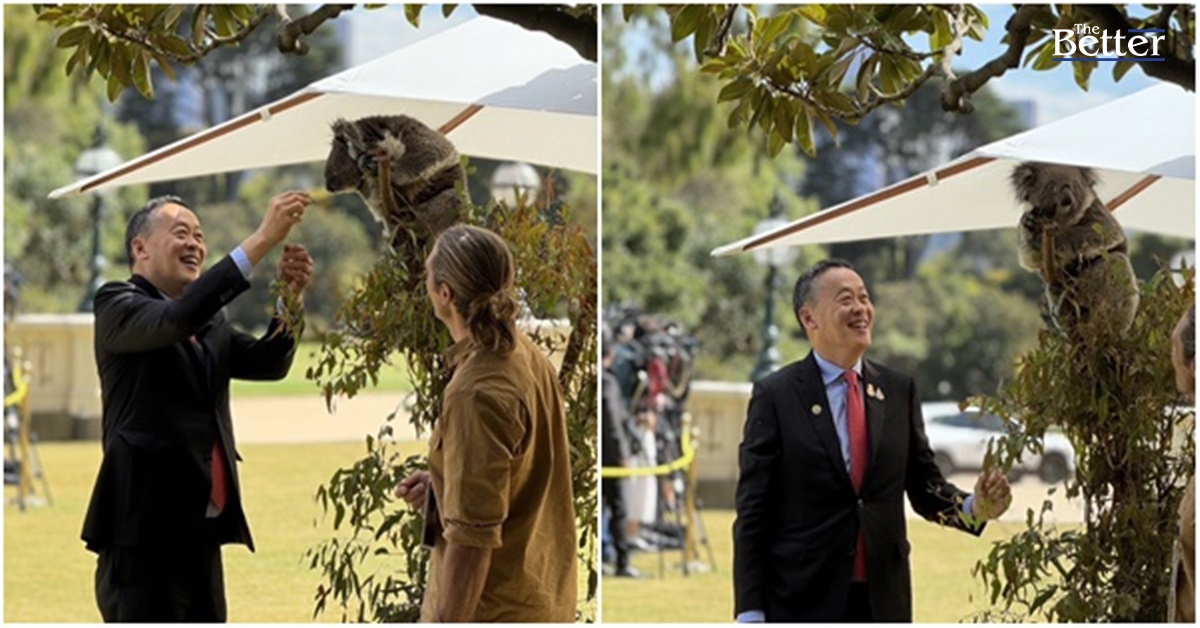 “เศรษฐา” แวะป้อนอาหารหมีโคอาลาก่อนร่วมโต๊ะผู้นำ