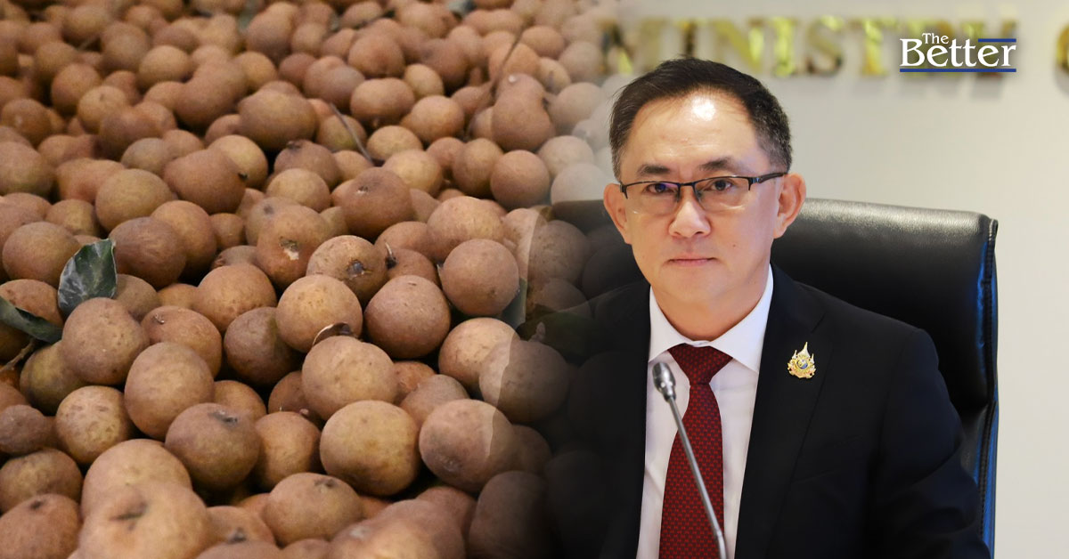 ‘พาณิชย์’แจงช่วยสวนลำไยทุกมิติเร่งระบายผลผลิตล้นตลาด