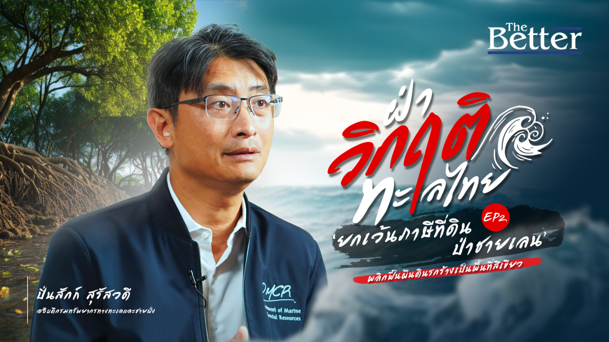 ‘ยกเว้นภาษีที่ดินป่าชายเลน’  พลิกฟื้นผืนดินรกร้างเป็นพื้นที่สีเขียว ปลุกจิตสำนึกรักษ์ป่าชายเลน